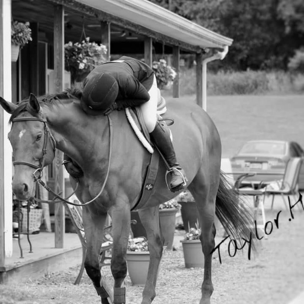 Meet your Posher, Shaun